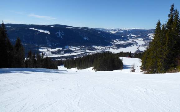 Skiing in Lillehammer