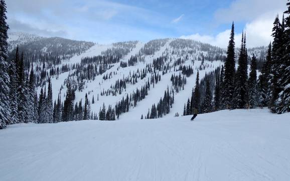 Central Kootenay: size of the ski resorts – Size Whitewater – Nelson