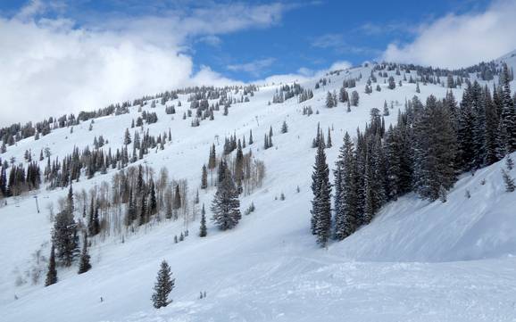 Best ski resort in the Teton Range – Test report Grand Targhee Best ski resort in the Teton Range – Test report Grand Targhee