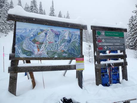 Kootenay Boundary: orientation within ski resorts – Orientation Red Mountain Resort – Rossland