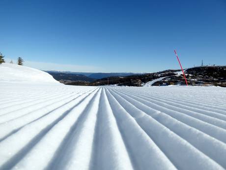 Slope preparation Hallingdal – Slope preparation Nesfjellet – Nesbyen