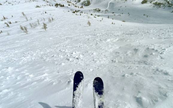 Ski resorts for advanced skiers and freeriding Clark Range – Advanced skiers, freeriders Castle Mountain Ski resorts for advanced skiers and freeriding Clark Range – Advanced skiers, freeriders Castle Mountain