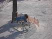 Snow reliability Tannheimer Tal – Snow reliability Jungholz