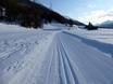 Cross-country skiing Switzerland – Cross-country skiing Languard – Pontresina