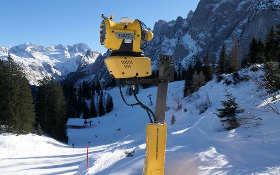 Snow reliability Dachstein-Salzkammergut – Snow reliability Dachstein West – Gosau/Russbach/Annaberg