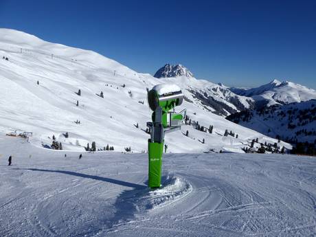 Snow reliability Kitzbühel Alps – Snow reliability Wildkogel – Neukirchen/Bramberg