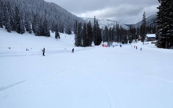 Family ski resorts Central Kootenay – Families and children Whitewater – Nelson