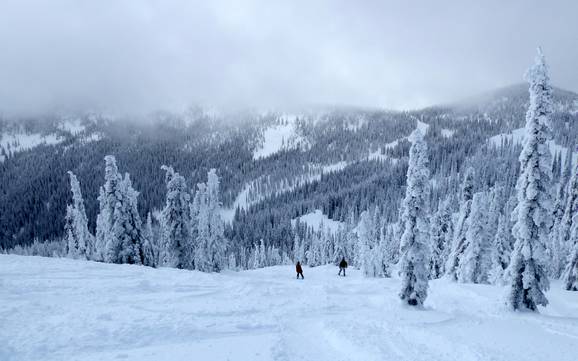 Ski resorts for advanced skiers and freeriding Monashee Mountains – Advanced skiers, freeriders Red Mountain Resort – Rossland