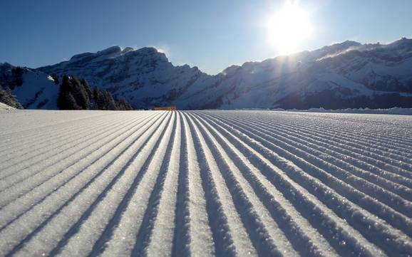 Slope preparation Waadt – Slope preparation Villars/Gryon/Les Diablerets