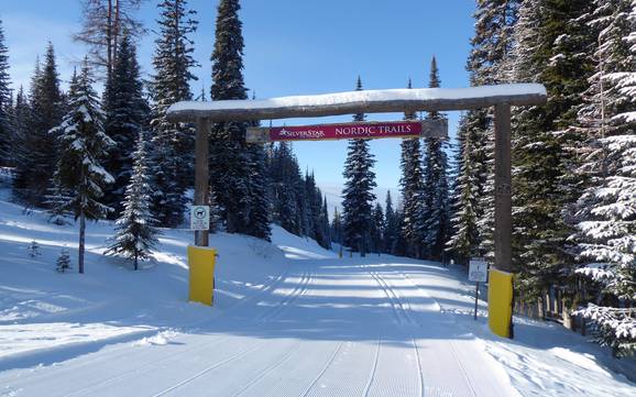 Cross-country skiing North Okanagan – Cross-country skiing SilverStar