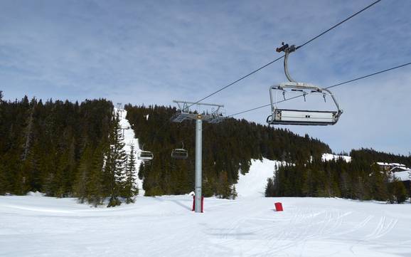 Skiing near Sjusjøen