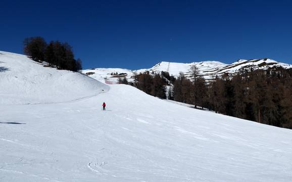 Upper Venosta Valley (Obervinschgau): size of the ski resorts – Size Watles – Malles Venosta (Mals)