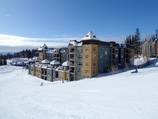 New Snowbird Lodge