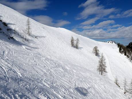 Ski resorts for advanced skiers and freeriding Berchtesgadener Land – Advanced skiers, freeriders Jenner – Schönau am Königssee