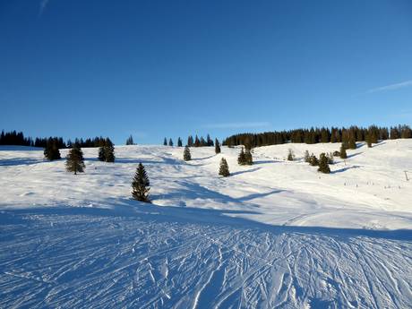 Tennengau: environmental friendliness of the ski resorts – Environmental friendliness Postalm am Wolfgangsee