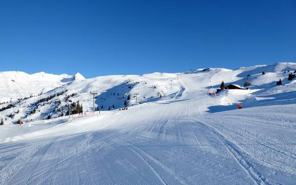 Skiing in Le Gollet Skiing in Le Gollet