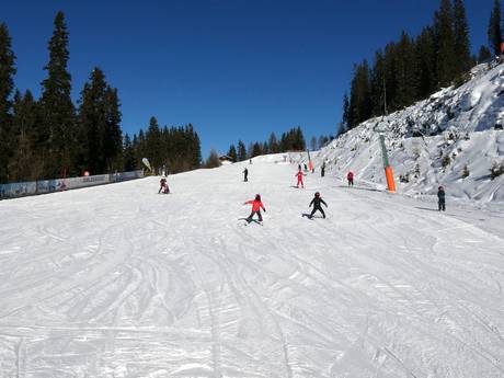 Ski resorts for beginners in the Skischaukel Kappl & See – Beginners See