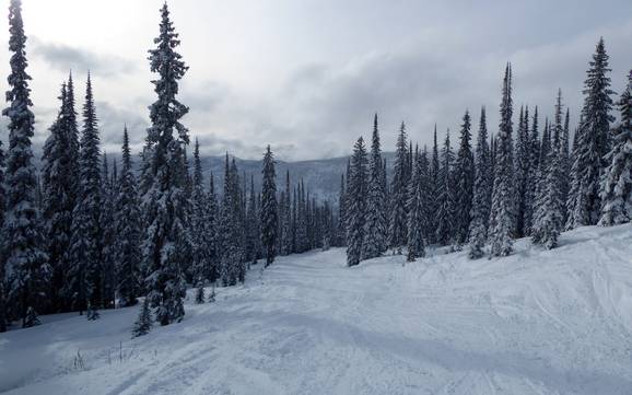 Slope offering Central Kootenay – Slope offering Whitewater – Nelson