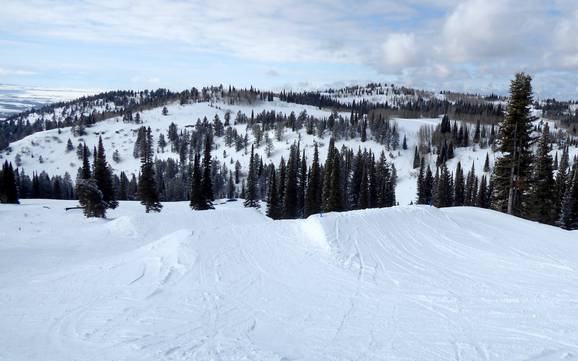 Snow parks Teton Range – Snow park Grand Targhee Snow parks Teton Range – Snow park Grand Targhee