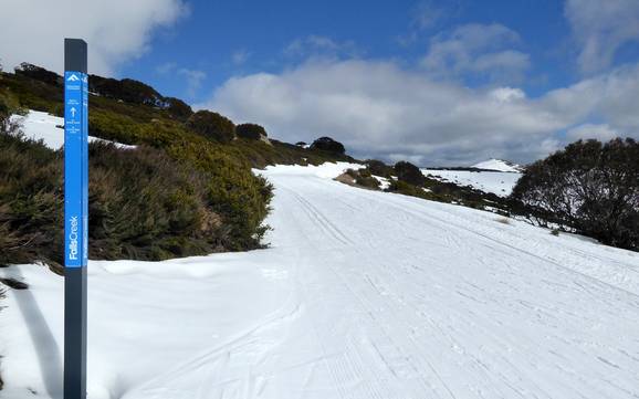 Cross-country skiing Australian Alps – Cross-country skiing Falls Creek