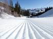 Slope preparation Idaho – Slope preparation Bald Mountain – Sun Valley