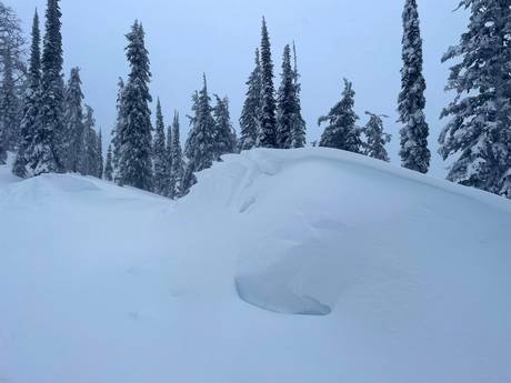 Snow reliability Selkirk Mountains – Snow reliability Whitewater – Nelson