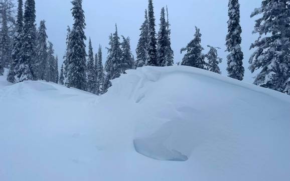 Snow reliability Central Kootenay – Snow reliability Whitewater – Nelson