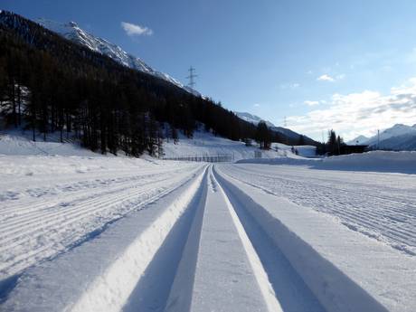 Cross-country skiing Albula Alps – Cross-country skiing Zuoz – Pizzet/Albanas