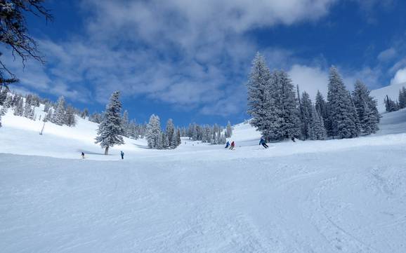 Slope offering Teton Range – Slope offering Grand Targhee Slope offering Teton Range – Slope offering Grand Targhee