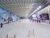 Worldwide: Test reports from ski resorts – Test report The Snow Centre – Hemel Hempstead