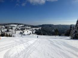 Feldberg – Seebuck/​Grafenmatt/​Fahl