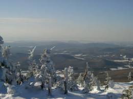 Sugarbush