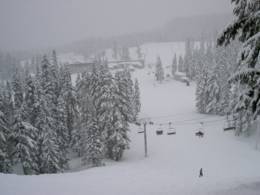 Mt. Hood Meadows